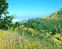 Youth Corps to help keep California green