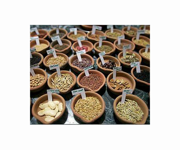 Last resort: the seeds kept safe in a South Korean mountain