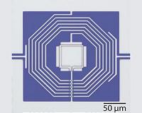 Seeing Quantum Motion