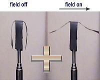 Magnetic nanoparticle chains offer new technique for controlling soft robots