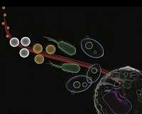 Scientists uncover principles of universal self-assembly