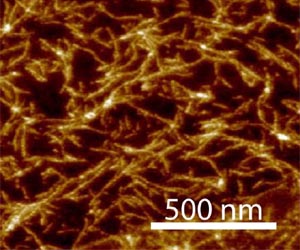 New Study Brings Scientists Closer to the Origin of RNA