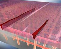 New polymer coatings prevent corrosion