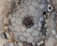 Wild sheep grazed in the Black Desert 14,500 years ago