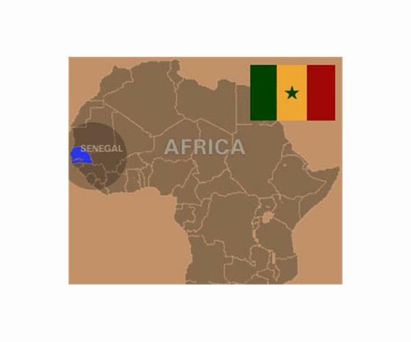 Senegal PM questions French military presence