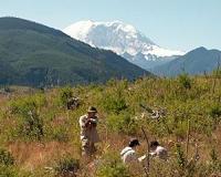 New view of Rainier's volcanic plumbing