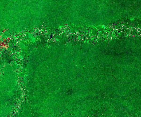 Earth from Space: Amazon rainforest