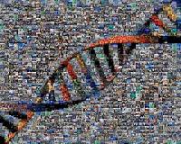 Genomes of early Irish settlers sequenced