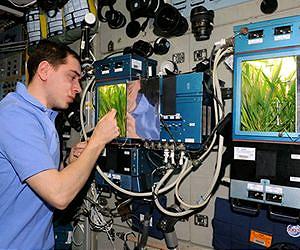 Kennedy Engineers Designing Plant Habitat For ISS
