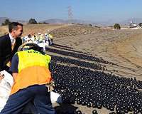 Using 'shade balls' in reservoirs may use up more water than they save