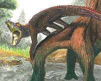Some ancient crocodiles were vegetarians