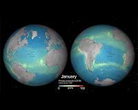 Shedding light on the ocean's living carbon pump