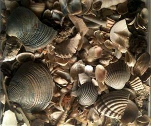 New test adds to scientists' understanding of Earth's history, resources
