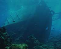 Shipwrecks On Coral Reefs Harbor Unwanted Species