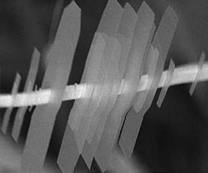 A Semiconductor 'Nano-Shish-Kebabs' With 3-D Potential
