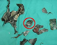 Autonomous Robot Detects Shrapnel