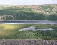Climate change brings fires, floods and moths to Siberia