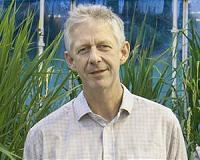 Plant variants point the way to improved biofuel production