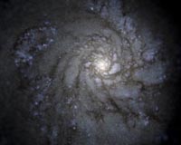 Milky Way's most distant stars were likely stolen