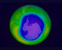 Protection for the ozone layer: sugar molecules bind harmful CFCs