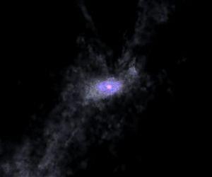 Galaxies Fed by Funnels of Fuel