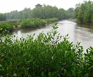 Development-weary Singaporeans back 'Green Corridor'