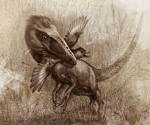 Feathered dinosaur feasts on flying food