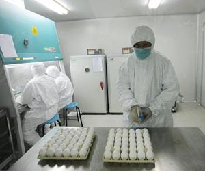 Netherlands destroying 17 million swine flu vaccine doses
