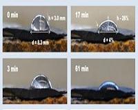 Novel algorithm simulates water evaporation at the nanoscale