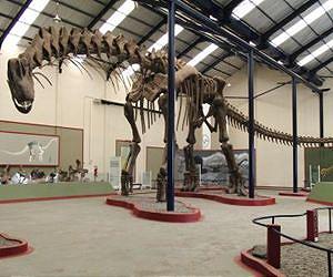 Scientists digitally reconstruct giant steps taken by dinosaurs for the first time