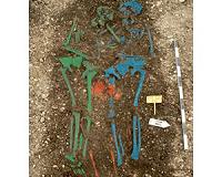 Plague pathogens hid in Europe for four centuries