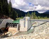 Are elevated levels of mercury in the American dipper due to run-of-river dams?