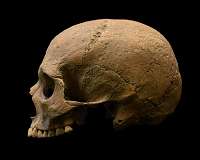 Overwhelming evidence of malaria's existence 2,000 years ago