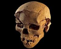 Evidence of a prehistoric massacre extends the history of warfare