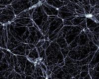 Black holes banish matter into cosmic voids