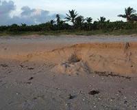 The physics of ocean undertow
