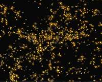 Vast new super cluster of galaxies named Saraswati