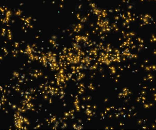 Digital Sky Survey maps the entire sky, providing new data to Vanderbilt astronomers
