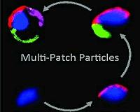 Microparticles Show Molecules Their Way