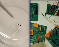 What new wearable sensors can reveal from perspiration