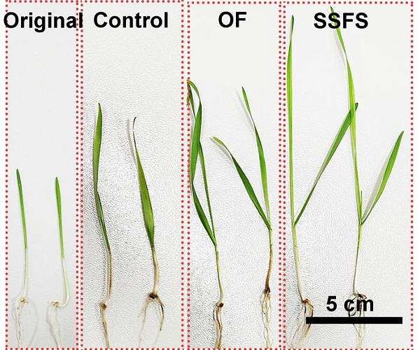 Smart farming platform improves crop yields, minimizes pollution