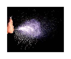 Flu is transmitted before symptoms appear