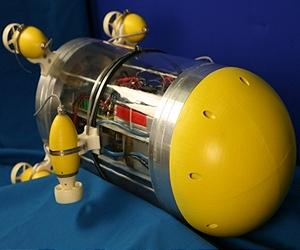Researchers Equip Robot Sub With Sensory System Inspired By Blind Fish