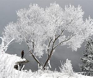 Biting winters driven by global warming: scientists