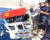 'Squishy' robot fingers aid deep sea exploration