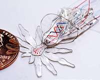 Soft multi-functional robots get really small and spider-shaped