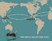 Discovery: Tropical fire ants traveled the world on 16th century ships