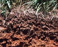 Senate Resolution Shines Spotlight On The Importance Of Soils