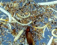 The unbelievable underworld and its impact on us all
