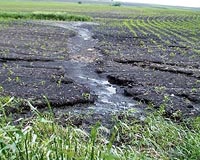 Study assess impact of temperature on soil decomposition